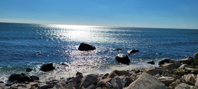 Westerly - Photo 5
