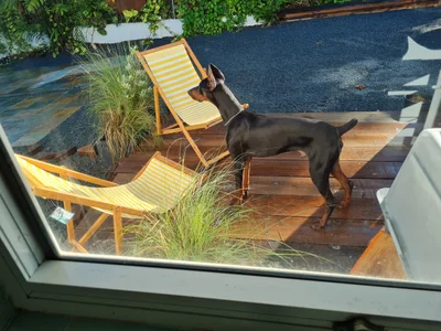 Guaynabo - Photo 2