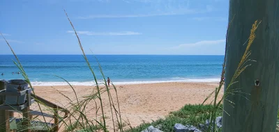 Flagler Beach - Photo 3
