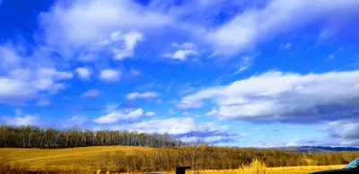 Wytheville - Photo 3
