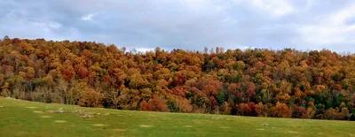 Wytheville - Photo 4