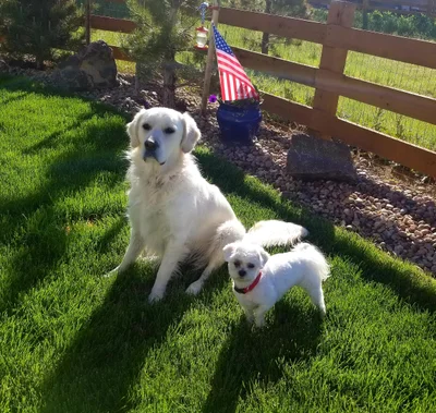 Broomfield - Photo 5