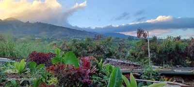 Wailuku - Photo 3
