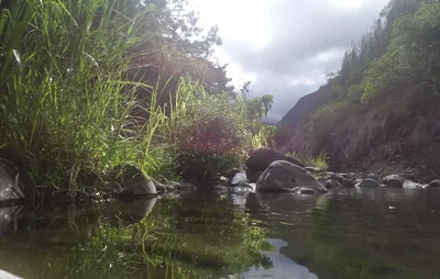 Wailuku - Photo 4