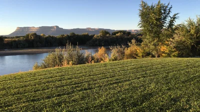 Green River - Photo 5