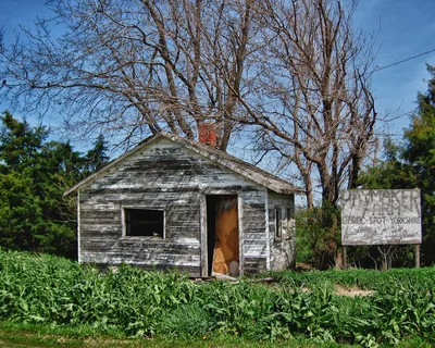 Grand Island - Photo 4