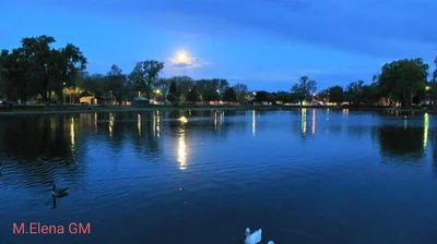 Grand Island - Photo 5