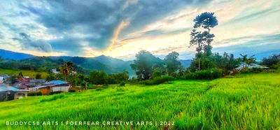 Koanara - Photo 3