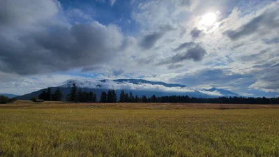 Columbia Falls - Photo 4