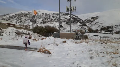 Gorman - Photo 5