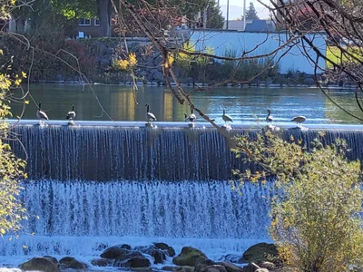 Idaho Falls - Photo 3