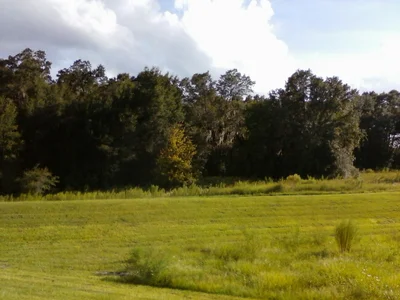 Lady Lake - Photo 3