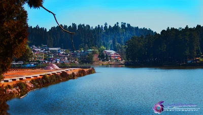 Darjeeling District - Photo 3