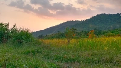 Gorubathan - Photo 3