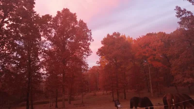 Crossville - Photo 4