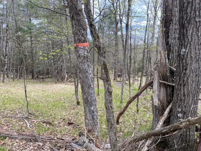 North Frontenac - Photo 3
