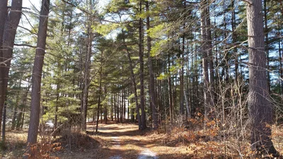 North Frontenac - Photo 5