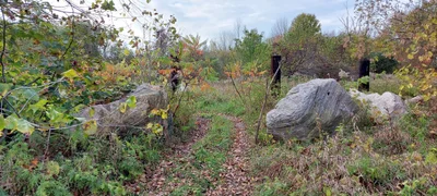 Midland - Photo 2
