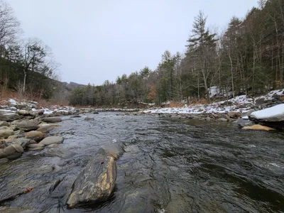 Deerfield - Photo 2