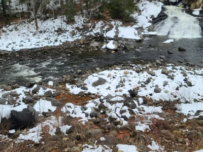 Deerfield - Photo 3