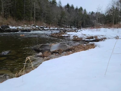 Deerfield - Photo 5