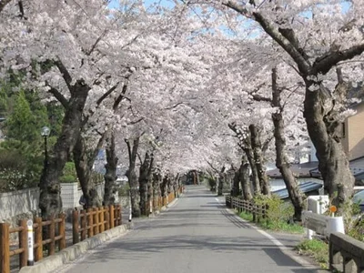 Kamaishi - Photo 4