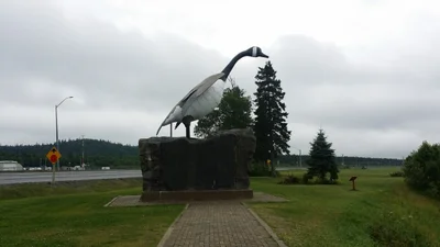 Wawa - Photo 3