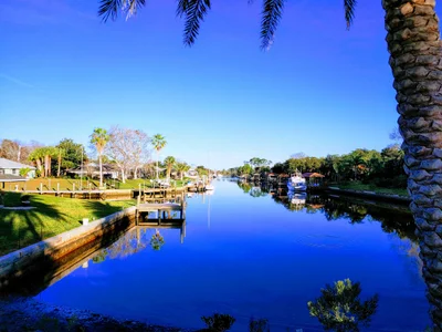 Palm Coast - Photo 2