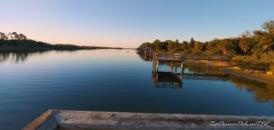 Palm Coast - Photo 3
