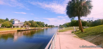 Palm Coast - Photo 4