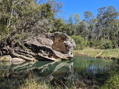 Carnarvon National Park - Photo 2