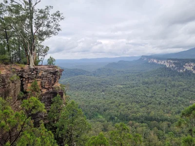 Carnarvon National Park - Photo 3