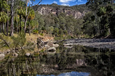 Carnarvon National Park - Photo 4