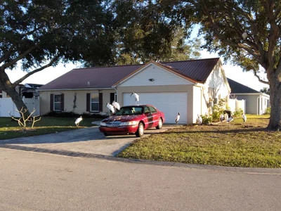 Palmetto - Photo 3