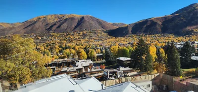Aspen - Photo 5
