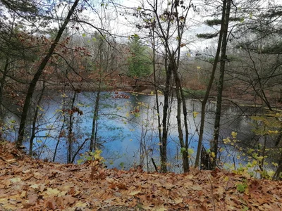 Holyoke - Photo 3