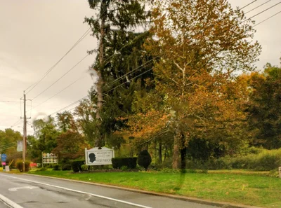 Town of Hyde Park - Photo 5