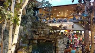 Bolingbrook - Photo 3