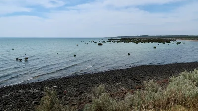 French Island - Photo 3