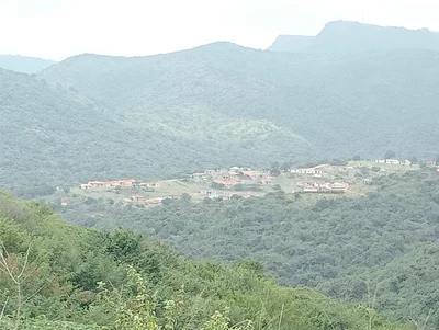 Cato Ridge - Photo 3