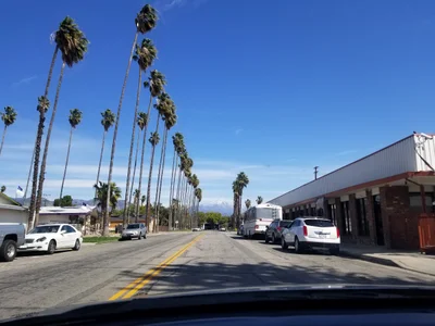 Redlands - Photo 4