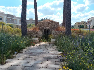 Nardo - Photo 2