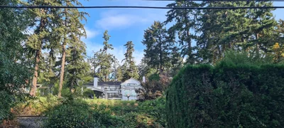 Lake Oswego - Photo 4