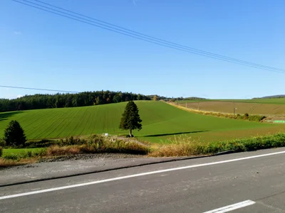 Kamifurano - Photo 2