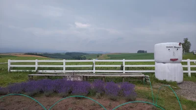Kamifurano - Photo 5