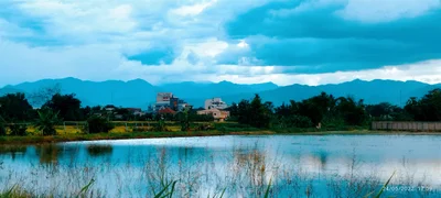 Fang - Photo 3
