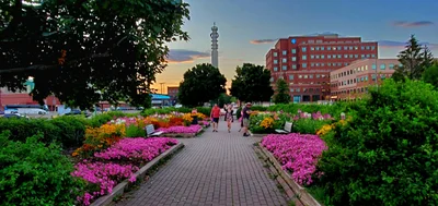 Moncton - Photo 2