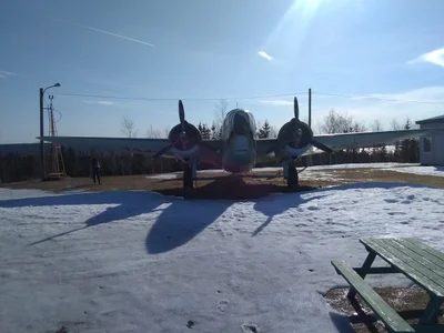 Gander - Photo 3