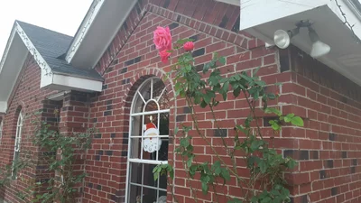 Mission - Photo 3