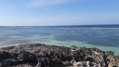 Savu Islands - Photo 4